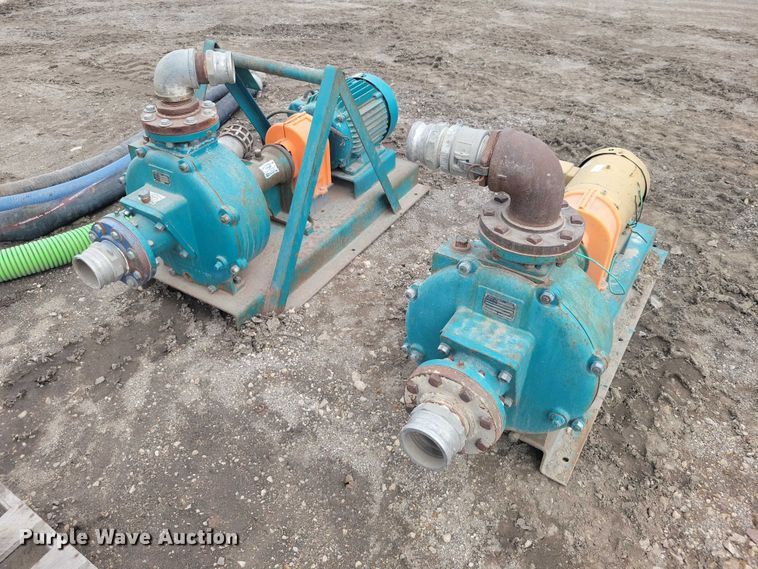 image for item DZ7017 Crown (2) Baldor pumps 