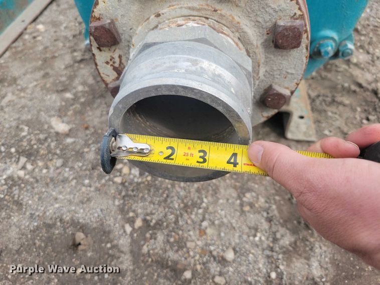 image for item DZ7017 Crown (2) Baldor pumps 