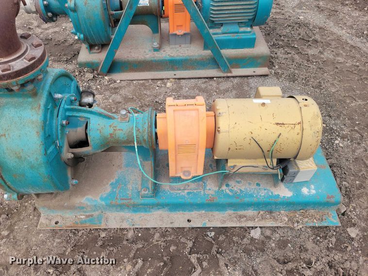 image for item DZ7017 Crown (2) Baldor pumps 