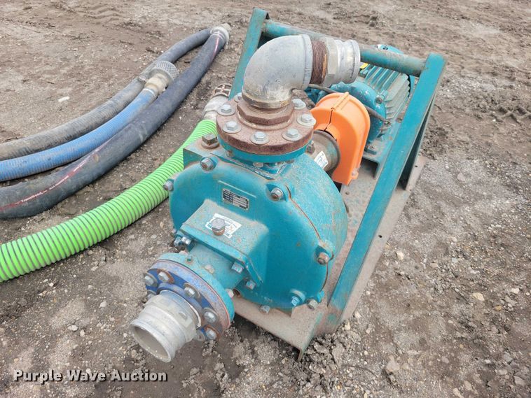 image for item DZ7017 Crown (2) Baldor pumps 