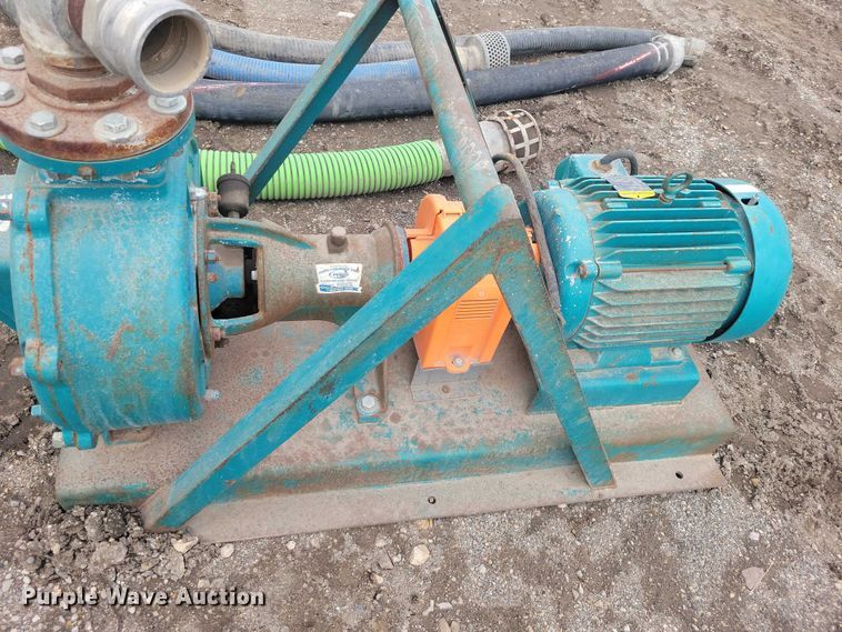 image for item DZ7017 Crown (2) Baldor pumps 