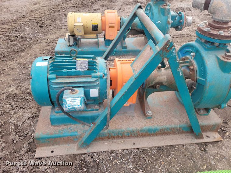 image for item DZ7017 Crown (2) Baldor pumps 