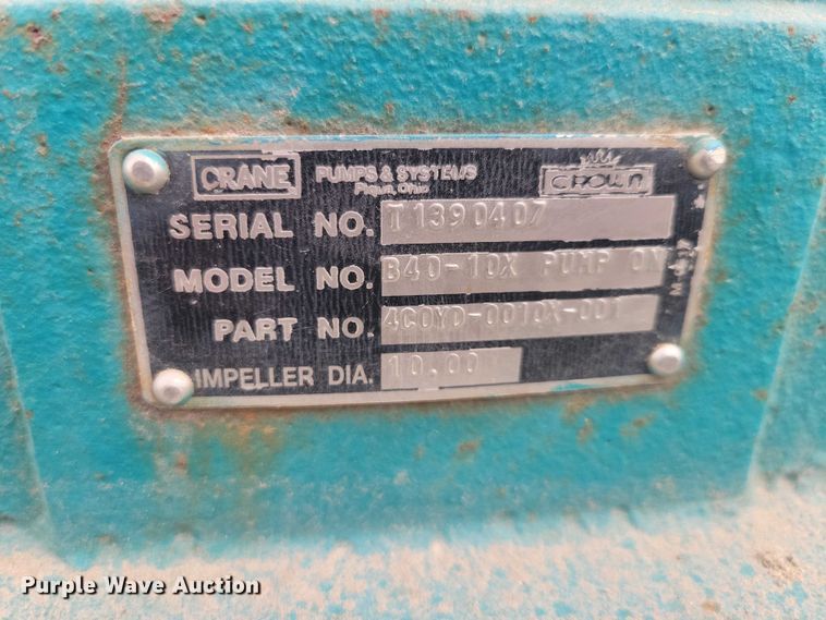 image for item DZ7017 Crown (2) Baldor pumps 