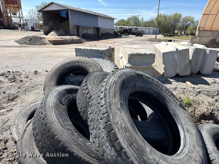 image for item EV7689 Tires