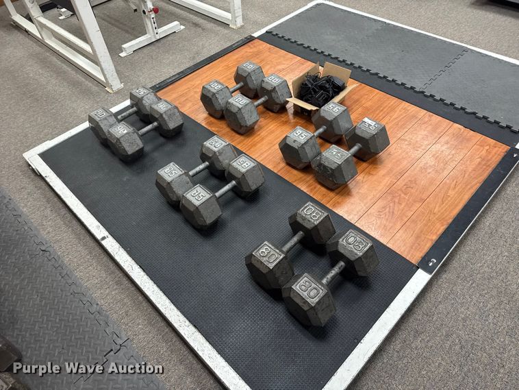image for item FB7187 (10) dumbbells