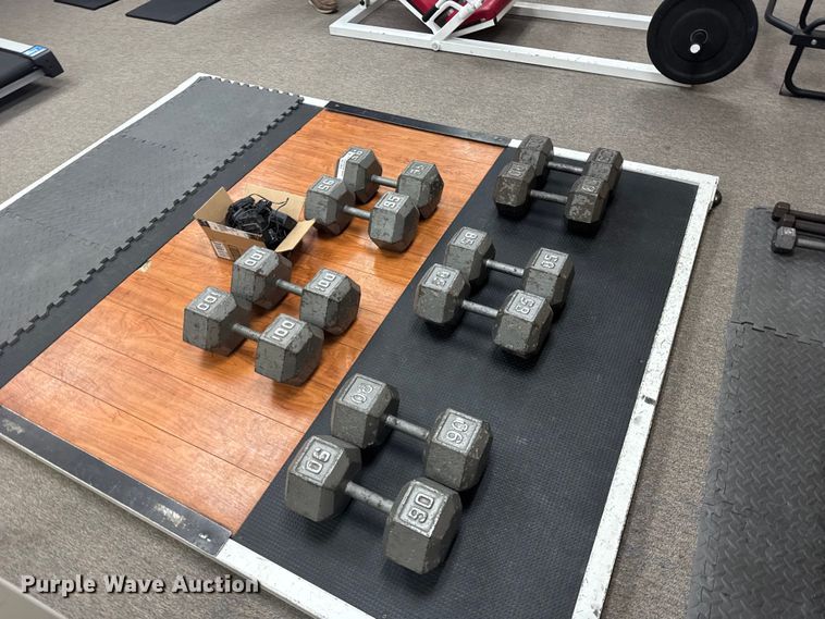 image for item FB7187 (10) dumbbells