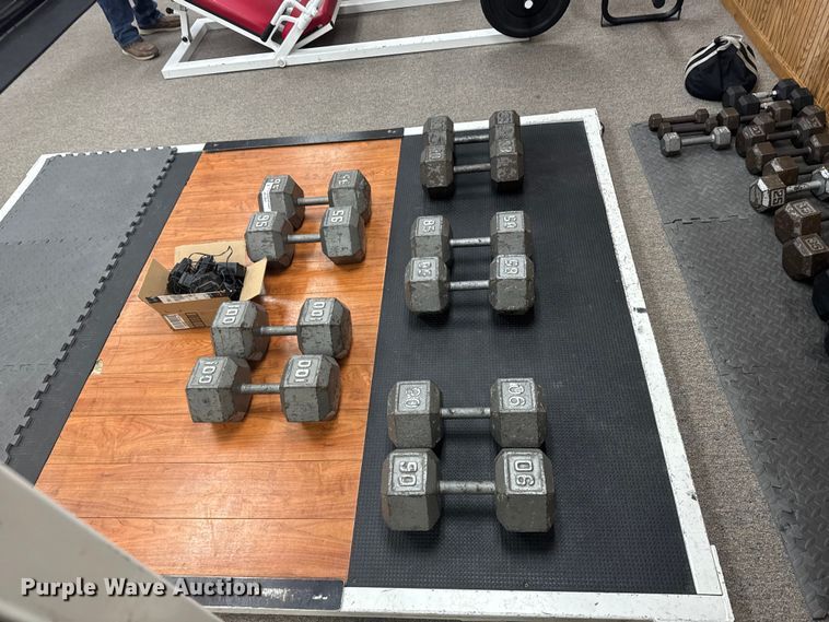 image for item FB7187 (10) dumbbells