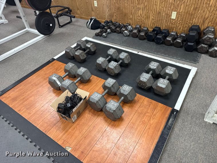 image for item FB7187 (10) dumbbells