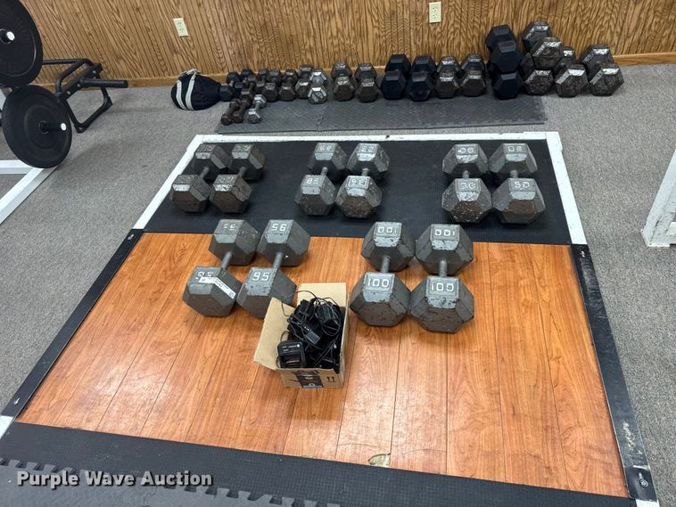 image for item FB7187 (10) dumbbells