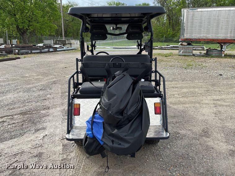 image for item FB3447 2021 Liangzi Rover 200 golf cart