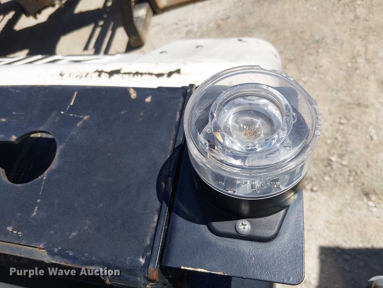 image for item EE5310 2020 Allman Bros Pro 2 V light plant