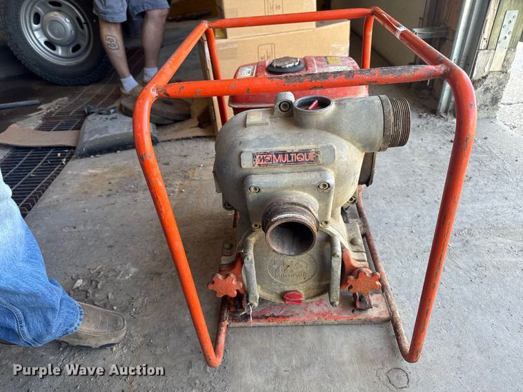image for item ER0470 (2) pumps