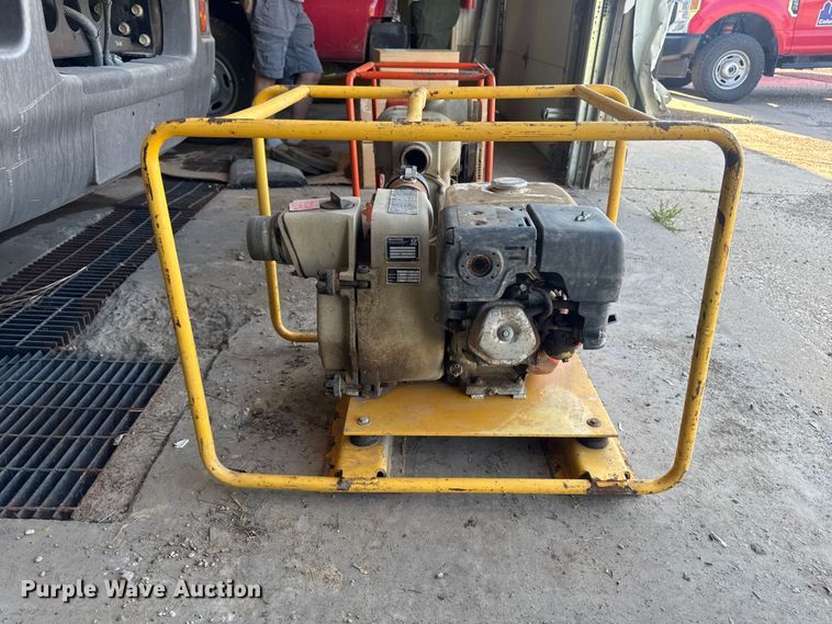 image for item ER0470 (2) pumps