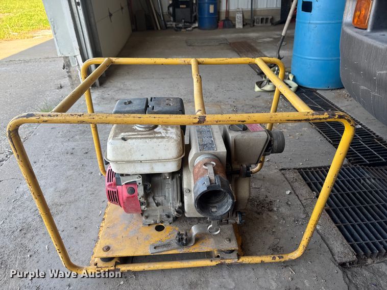 image for item ER0470 (2) pumps