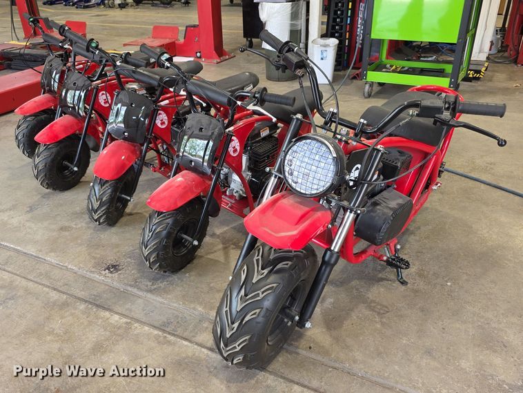 image for item EV2095 (5) Zhejiang Taotao mini bikes
