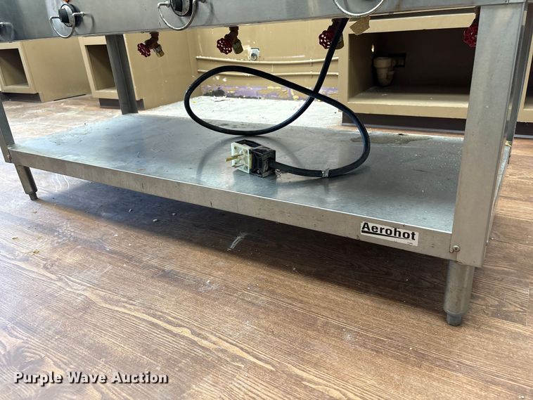 image for item EW0061 Aerohot food warmer