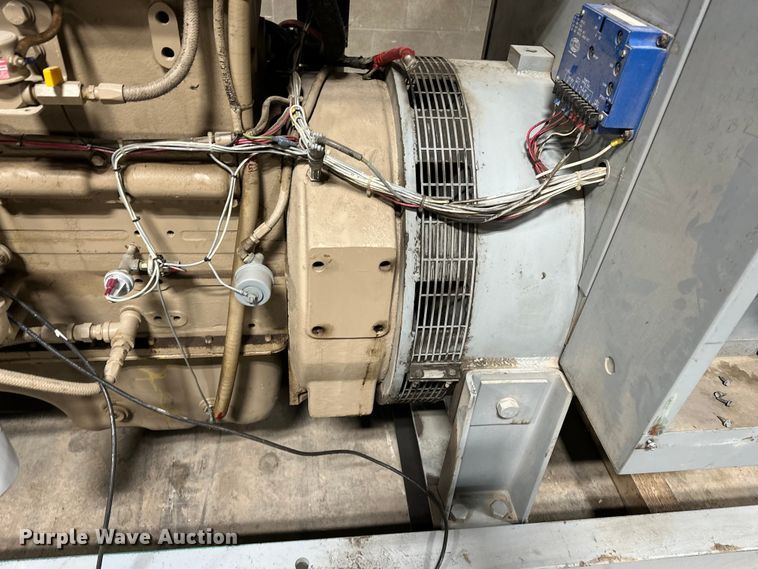 image for item EA4859 Onan 200.0DFP-17R/262SS generator