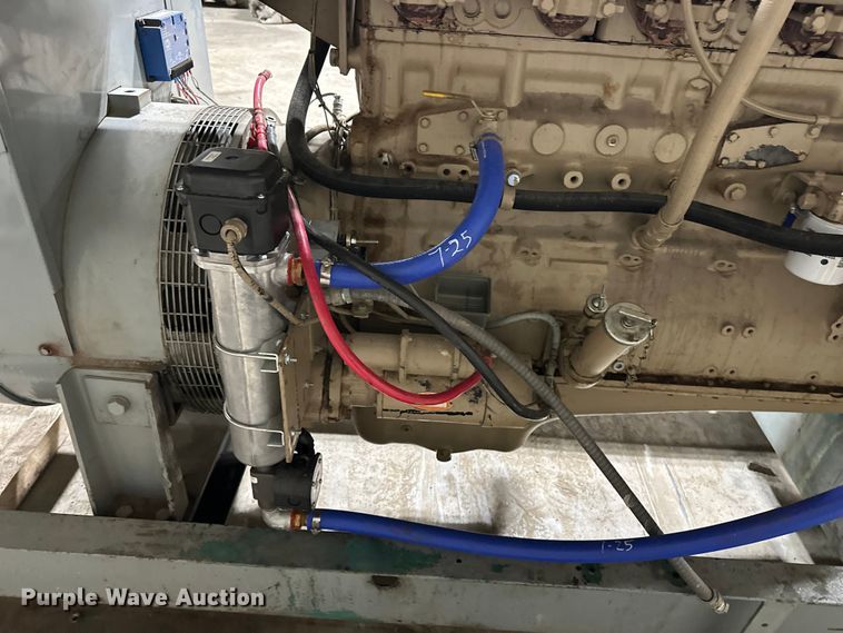 image for item EA4859 Onan 200.0DFP-17R/262SS generator