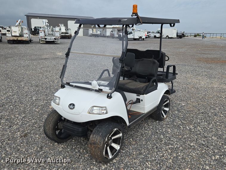 image for item ET5081 Evolution golf cart