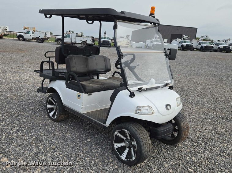 image for item ET5081 Evolution golf cart