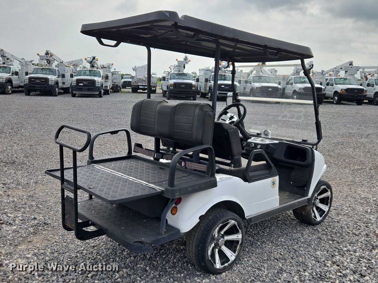 image for item ET5081 Evolution golf cart