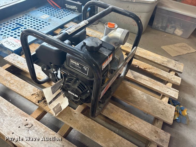 image for item EU5546 Kohler pump