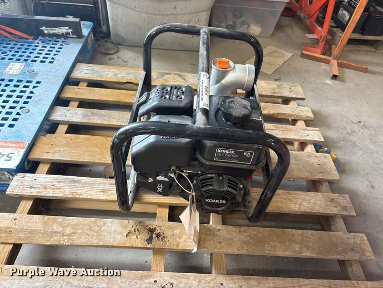 image for item EU5546 Kohler pump