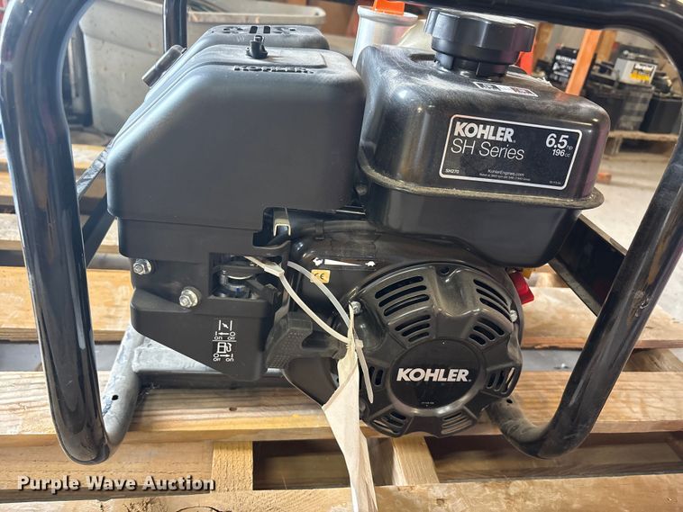image for item EU5546 Kohler pump