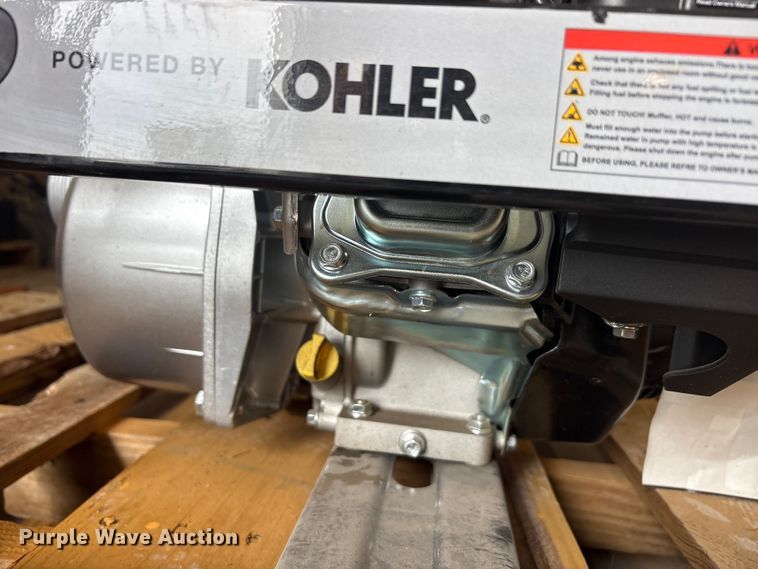 image for item EU5546 Kohler pump