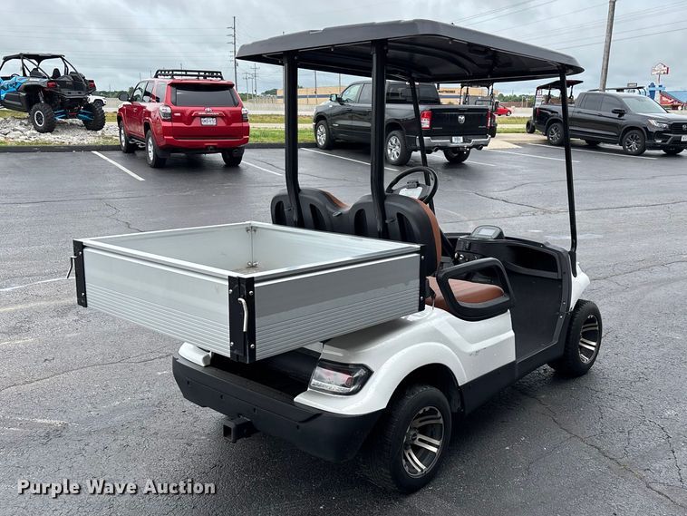 image for item EO4309 Icon LT-A617.2 golf cart