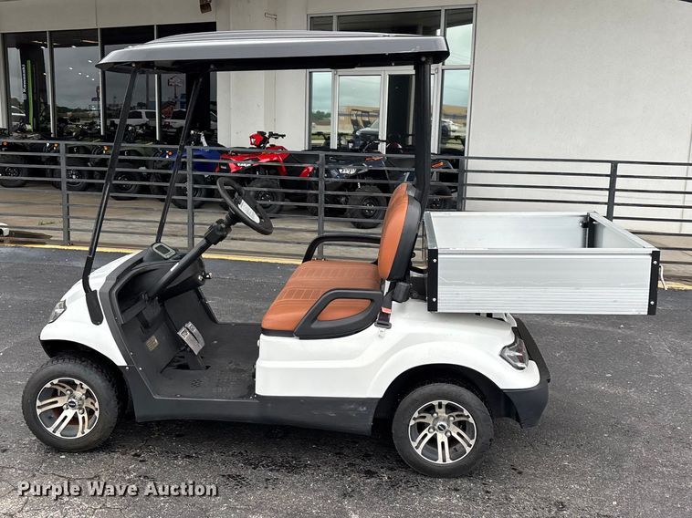 image for item EO4309 Icon LT-A617.2 golf cart