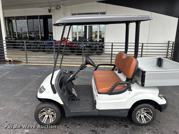 image for item EO4309 Icon LT-A617.2 golf cart