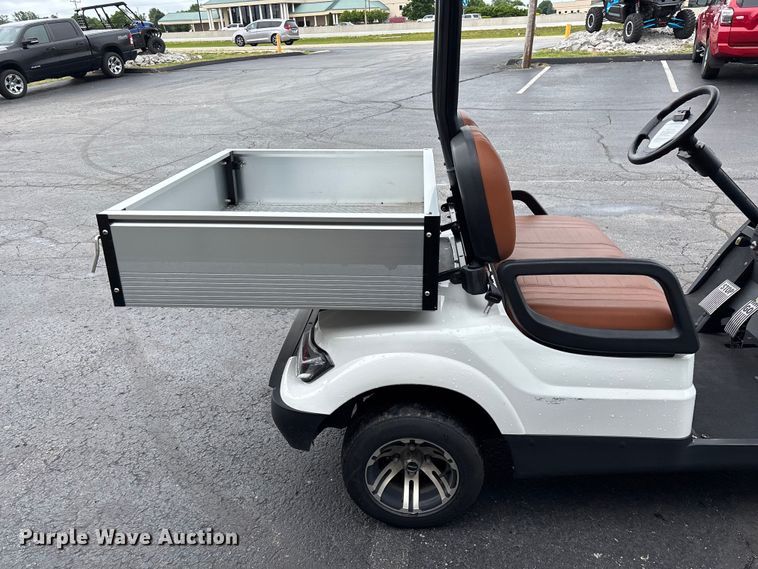 image for item EO4309 Icon LT-A617.2 golf cart