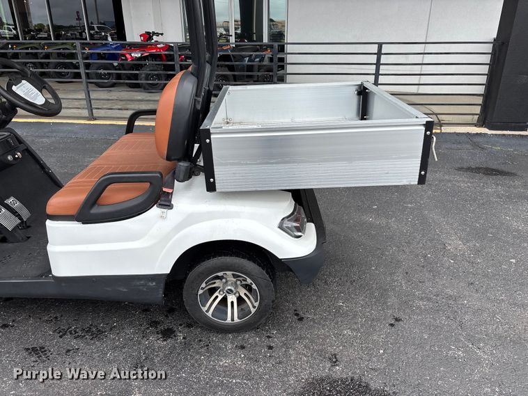image for item EO4309 Icon LT-A617.2 golf cart