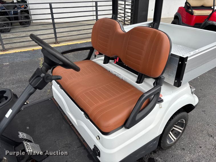 image for item EO4309 Icon LT-A617.2 golf cart