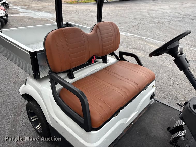 image for item EO4309 Icon LT-A617.2 golf cart