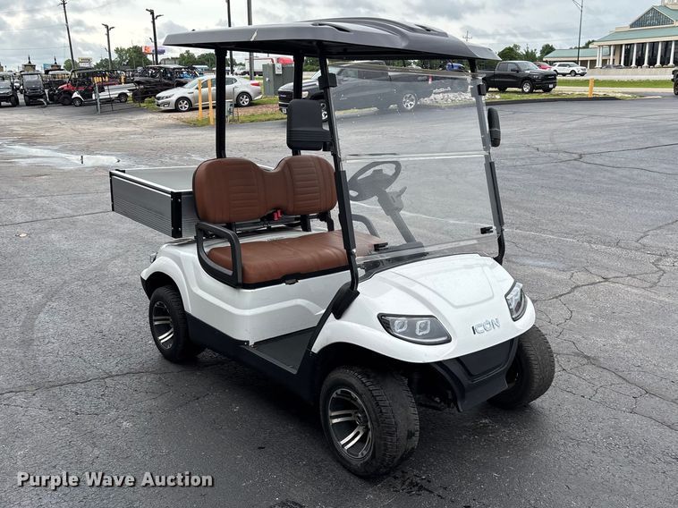 image for item EO4310 Icon LT-A617.2 golf cart