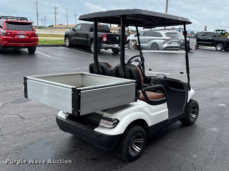 image for item EO4310 Icon LT-A617.2 golf cart