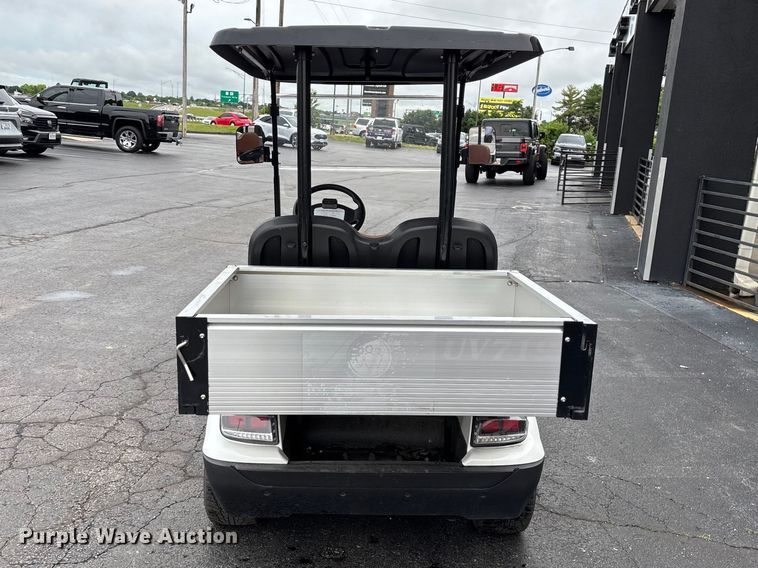 image for item EO4310 Icon LT-A617.2 golf cart