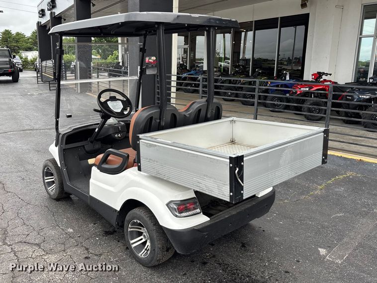 image for item EO4310 Icon LT-A617.2 golf cart