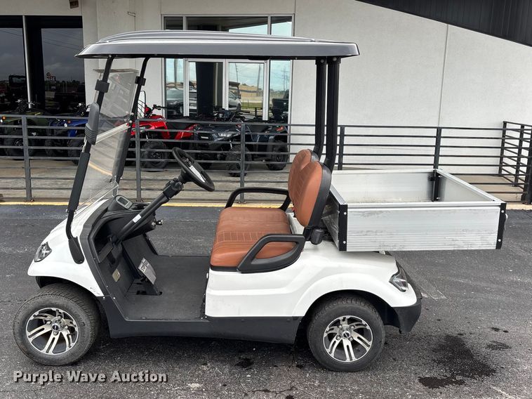image for item EO4310 Icon LT-A617.2 golf cart