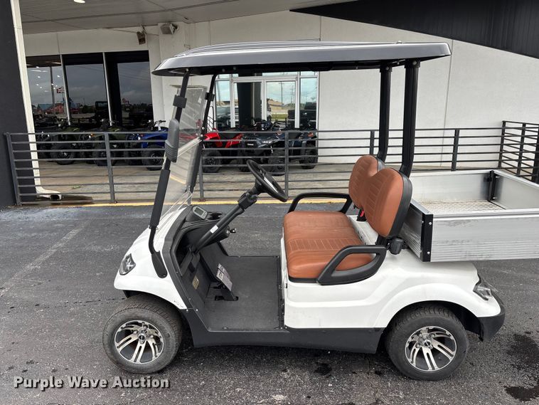 image for item EO4310 Icon LT-A617.2 golf cart
