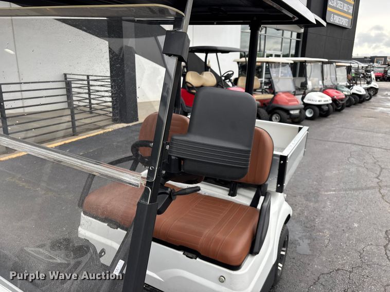 image for item EO4310 Icon LT-A617.2 golf cart