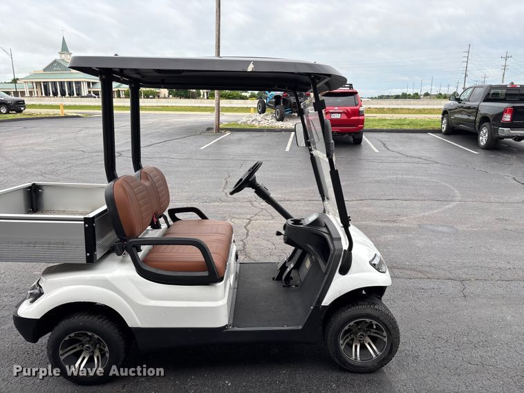 image for item EO4310 Icon LT-A617.2 golf cart