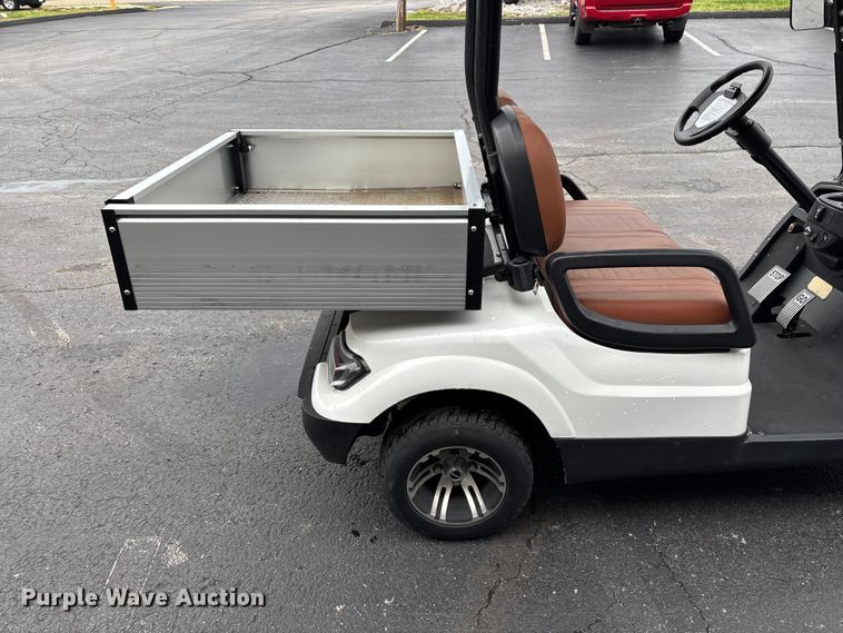 image for item EO4310 Icon LT-A617.2 golf cart