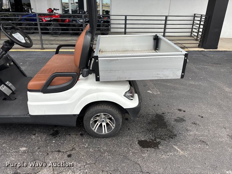 image for item EO4310 Icon LT-A617.2 golf cart