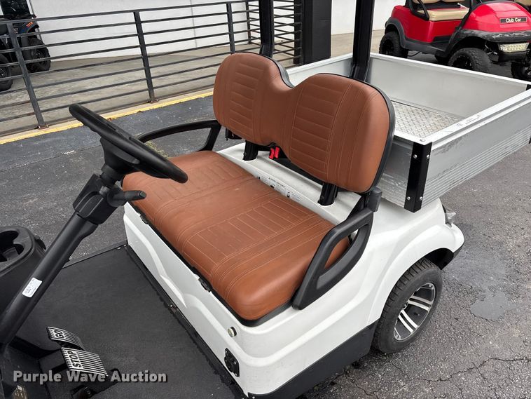 image for item EO4310 Icon LT-A617.2 golf cart