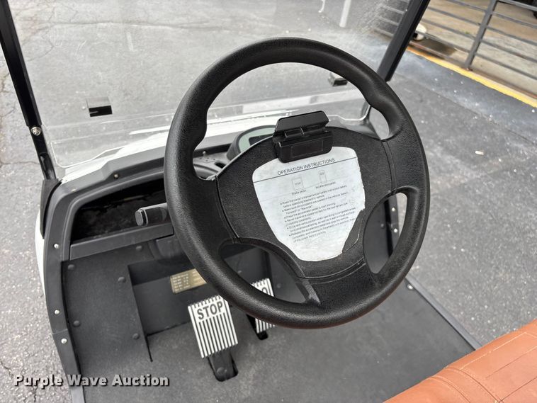 image for item EO4310 Icon LT-A617.2 golf cart