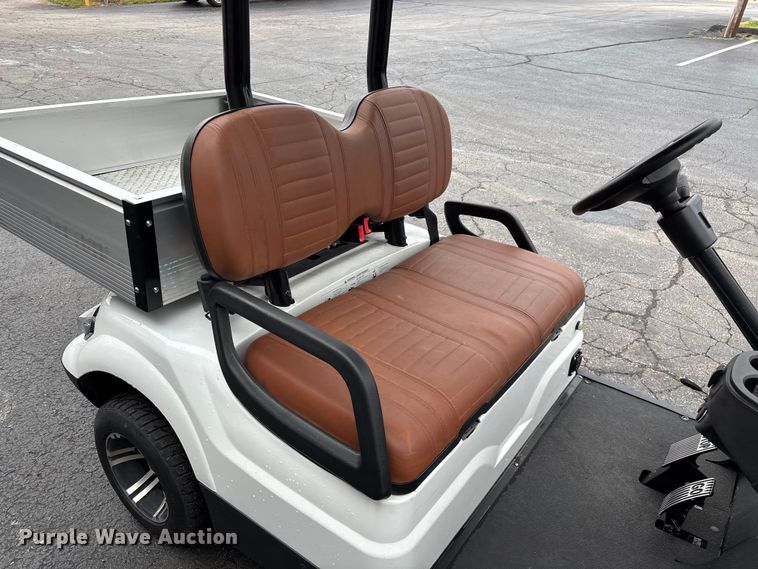 image for item EO4310 Icon LT-A617.2 golf cart
