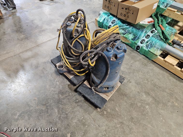 image for item EO7373 (2) Weil Pump 7202K3999 sump pumps